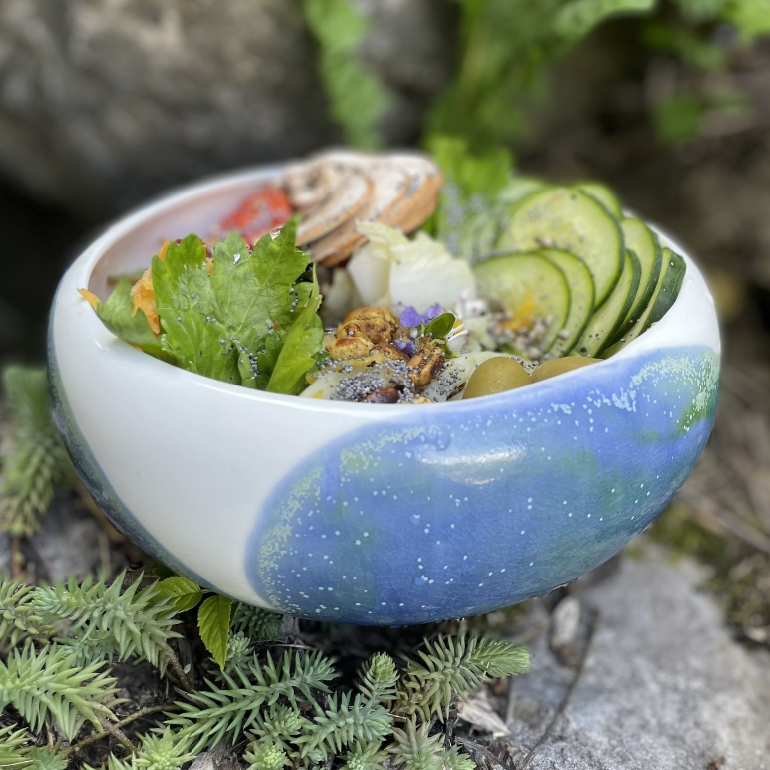 Ta vitalité Buddha Bowl : Salade vivante